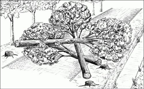 153